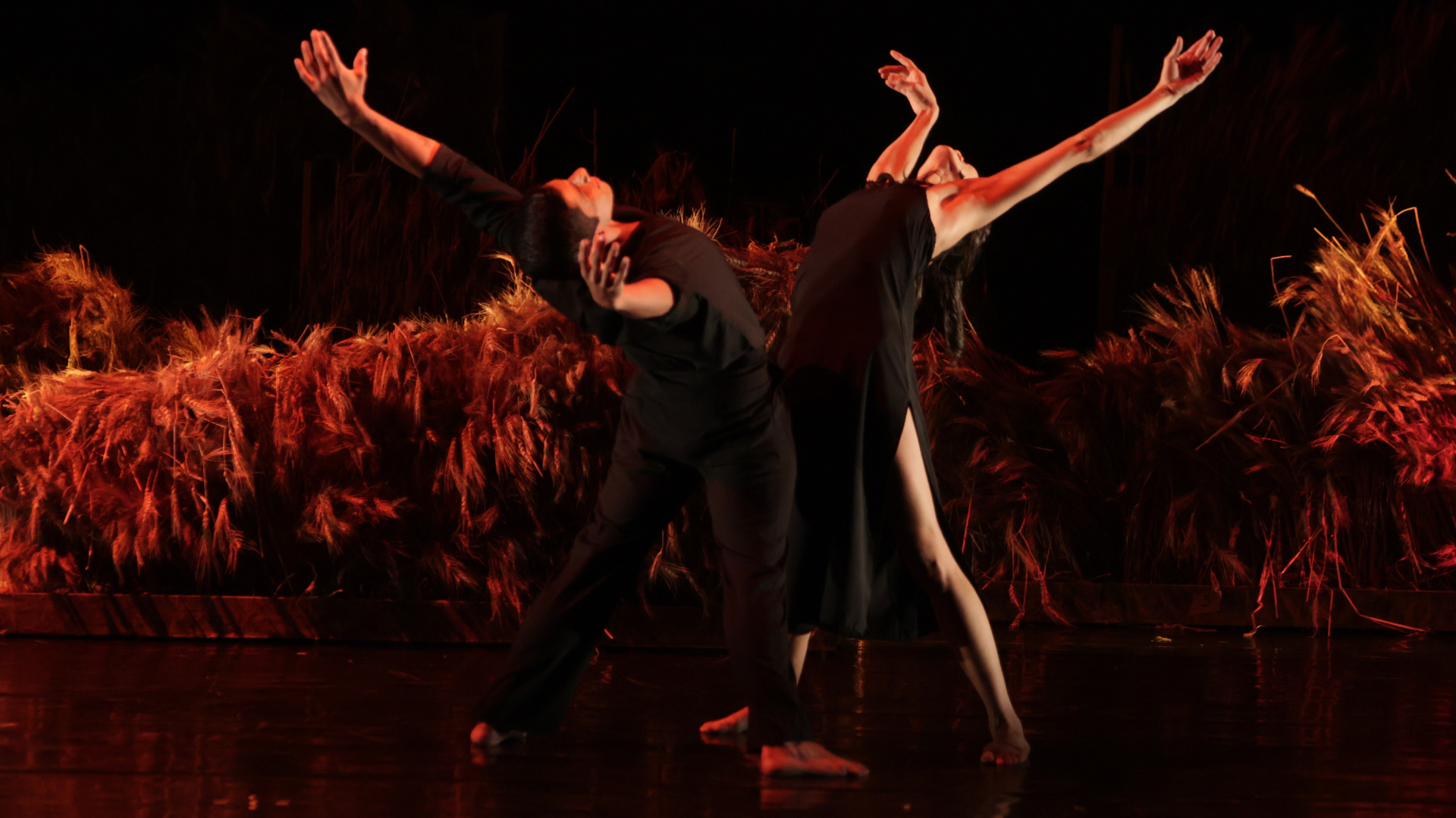 Feroces fauces desdentadas contra la violencia… desde la danza.